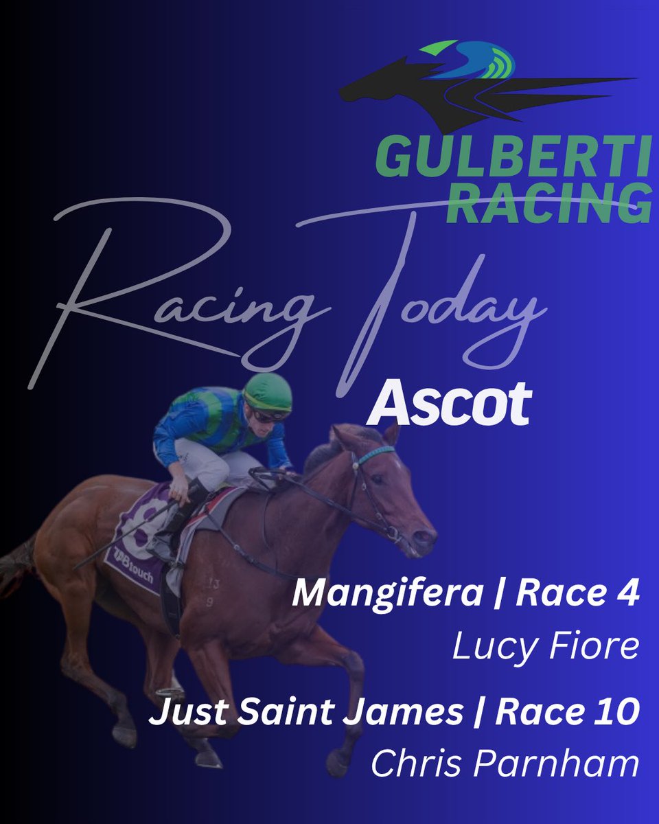 Gulberti Racing tweet media