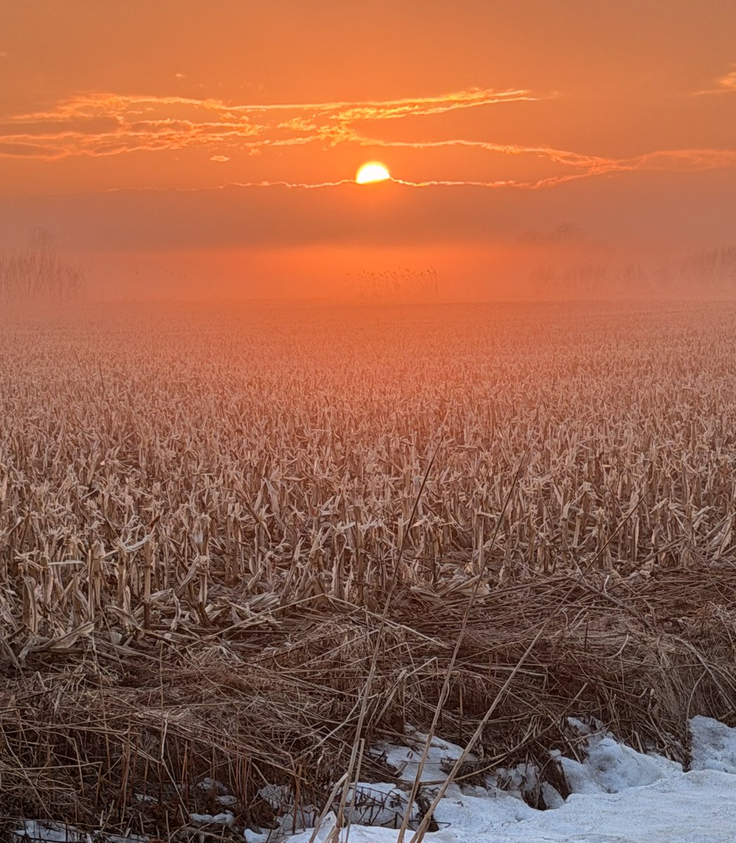 Danielle Bellemare tweet media