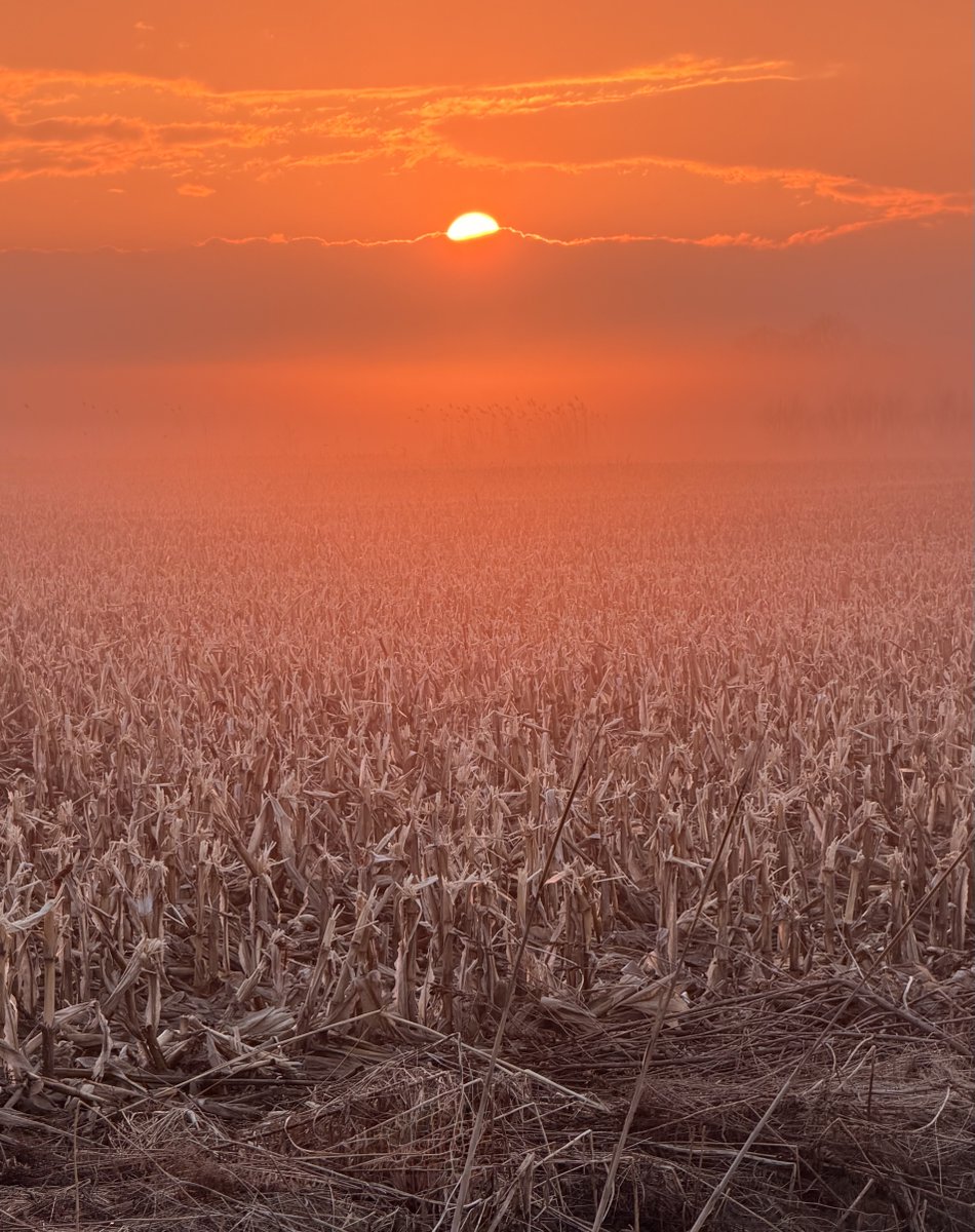 Danielle Bellemare tweet media