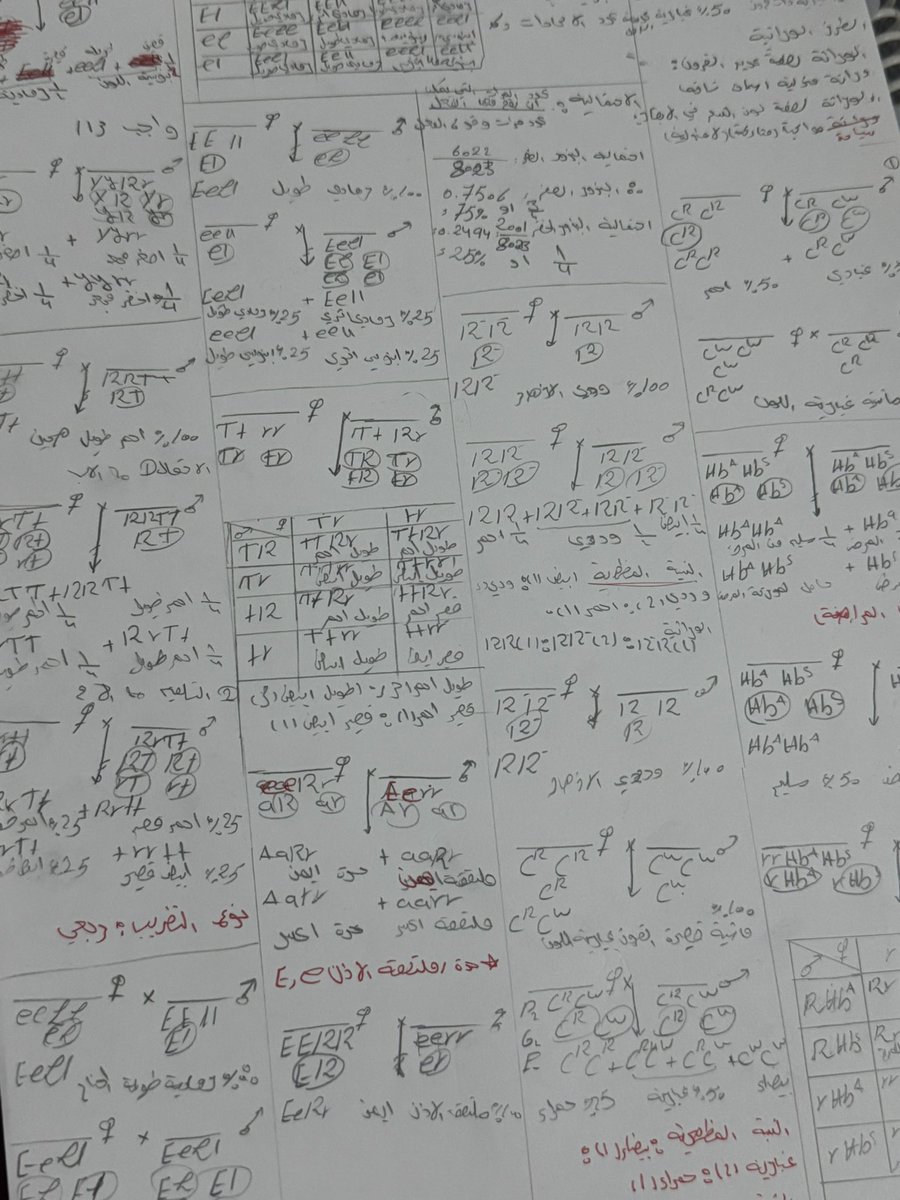 dark passenger tweet media