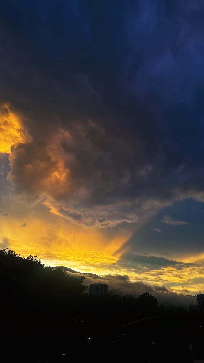 Nataly Parks tweet media