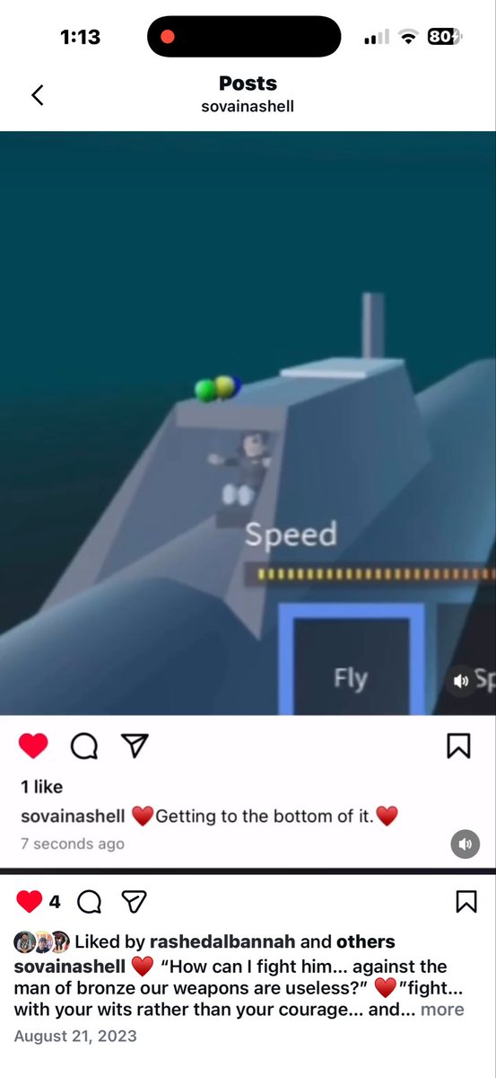 Sovainashell tweet media