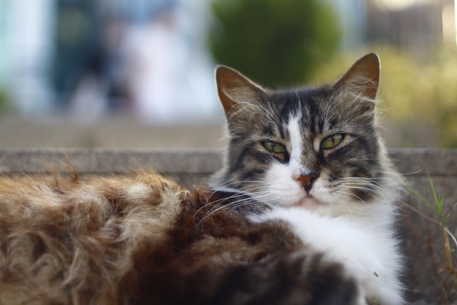 Peter Long tweet media