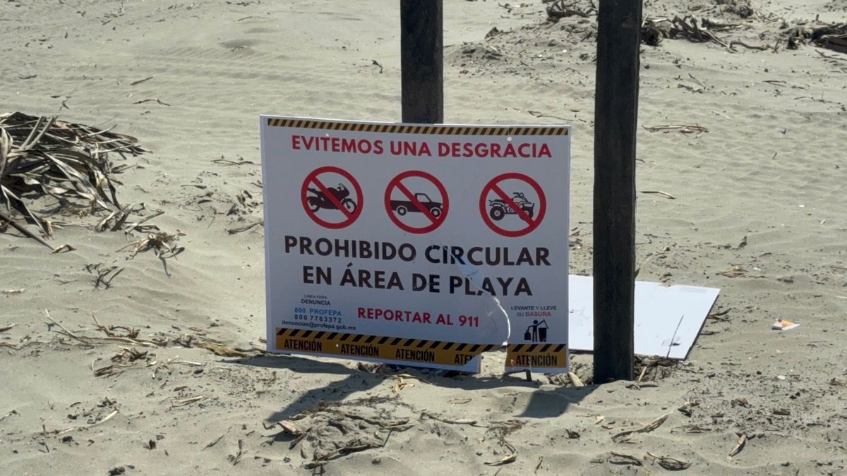 Azucena Uresti tweet media