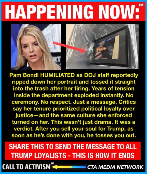 Poppy 💫🇦🇺☮🍅🥒🥕🥭🍊🍋 tweet media