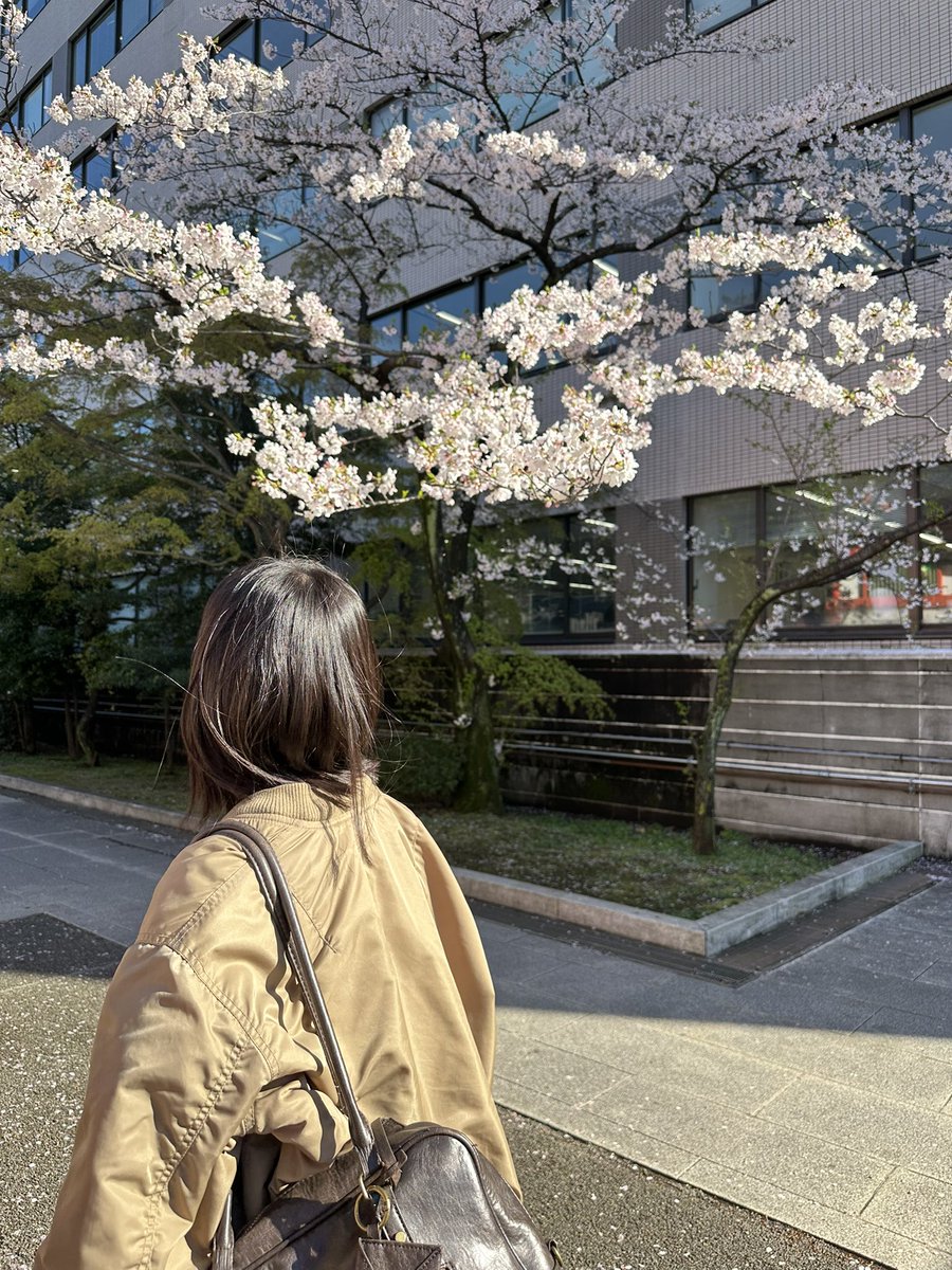 今井えにか tweet media