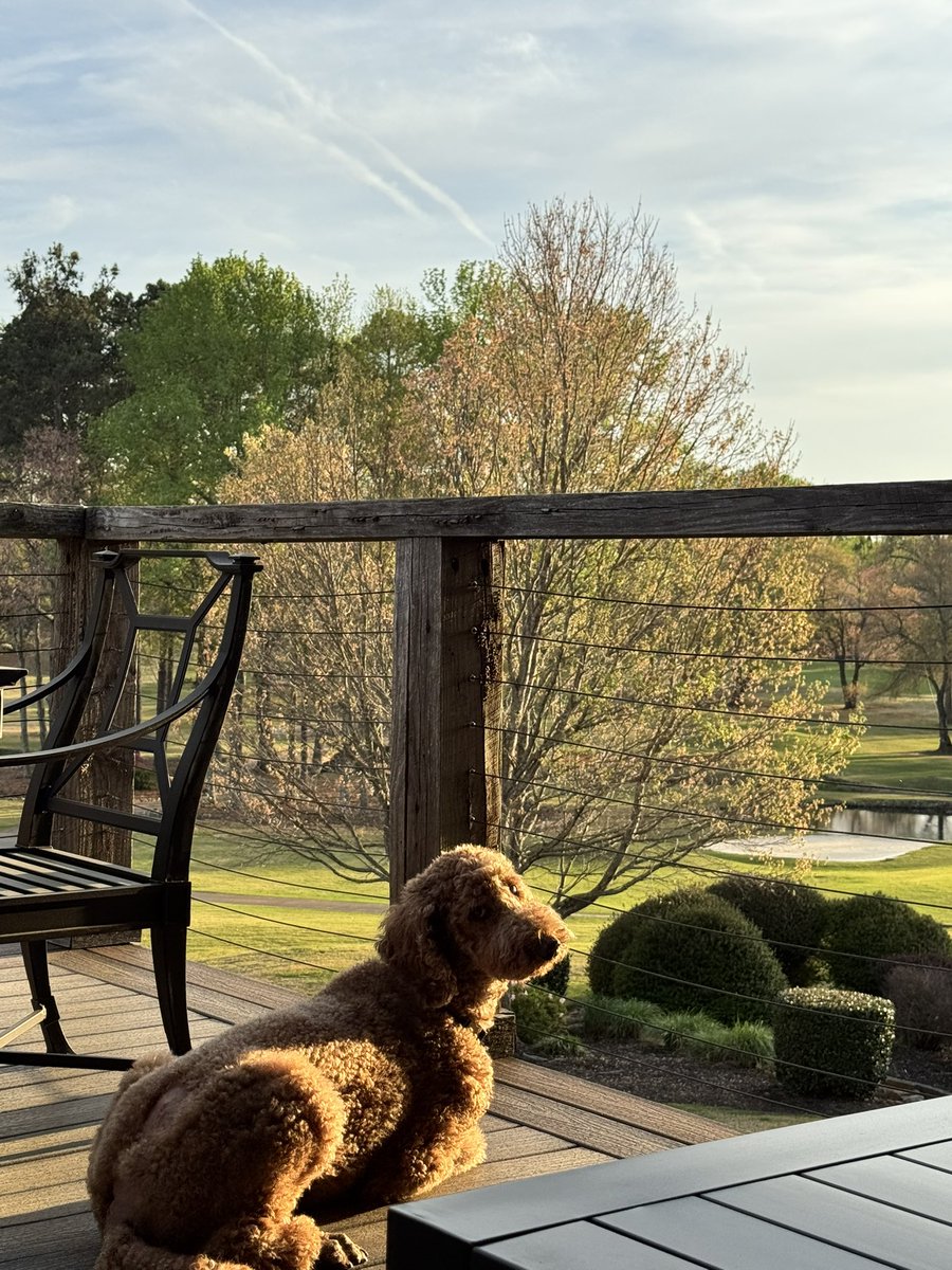 John P Erwin III MD MBA MACC (#BigPoppy ) tweet media