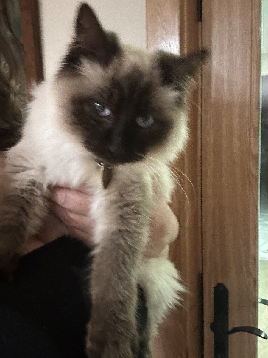 Outdoors Beauty tweet media