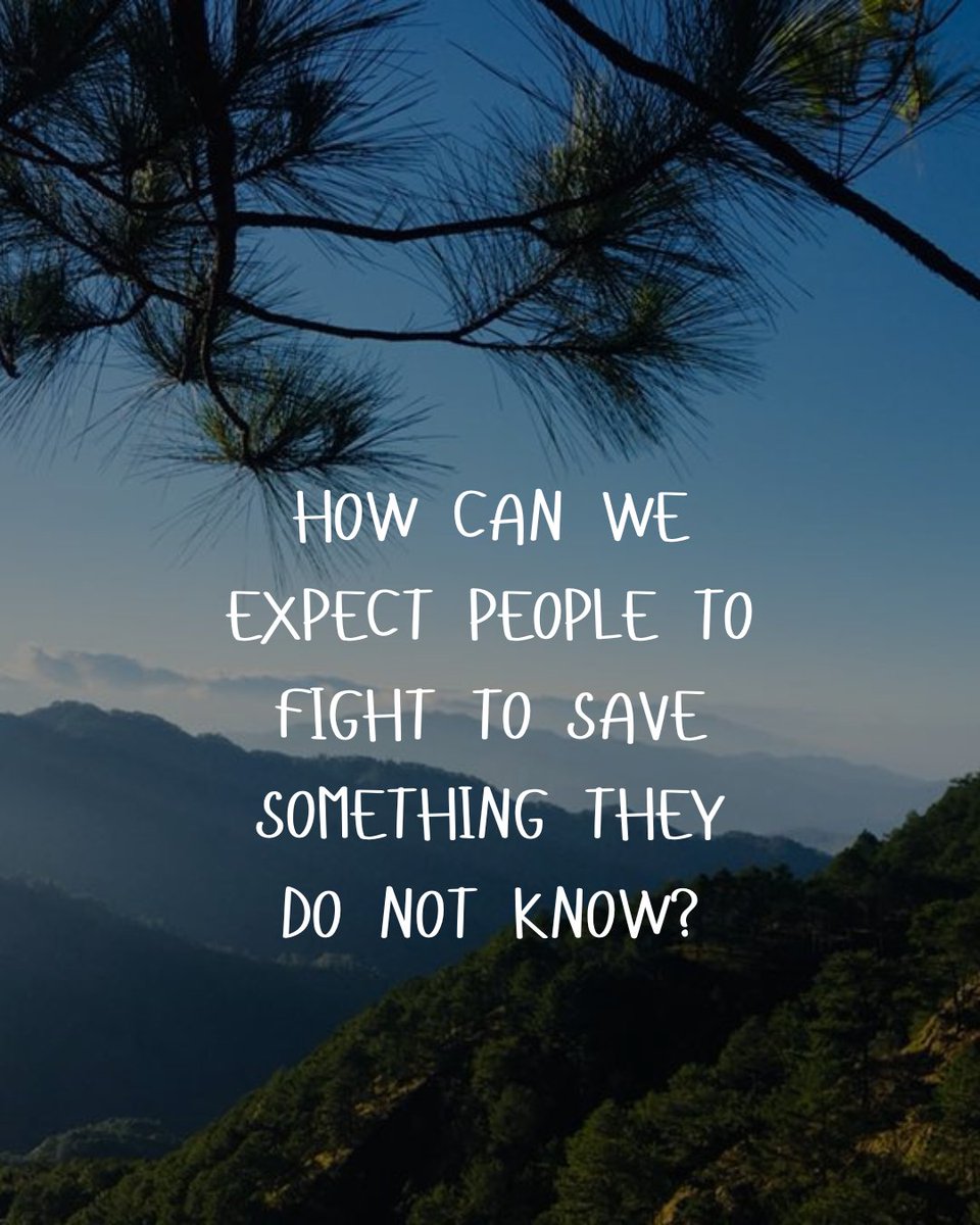 Martin Tye tweet media