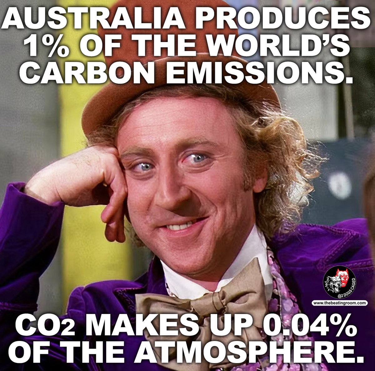 2DogsCaged tweet media