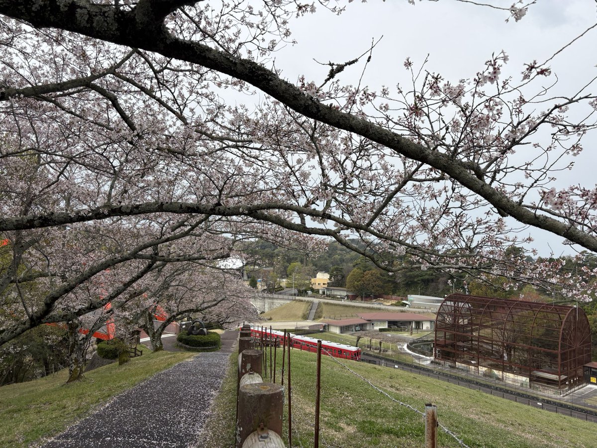 ☈_ちほ tweet media