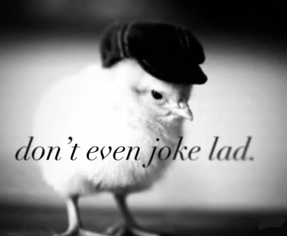 #1 Nemesis RE Fan tweet media