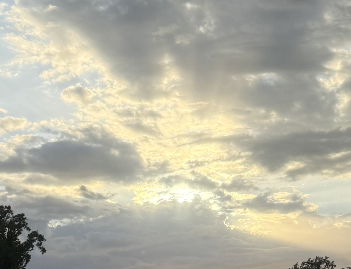 🇺🇸 Dave 🇺🇸 tweet media