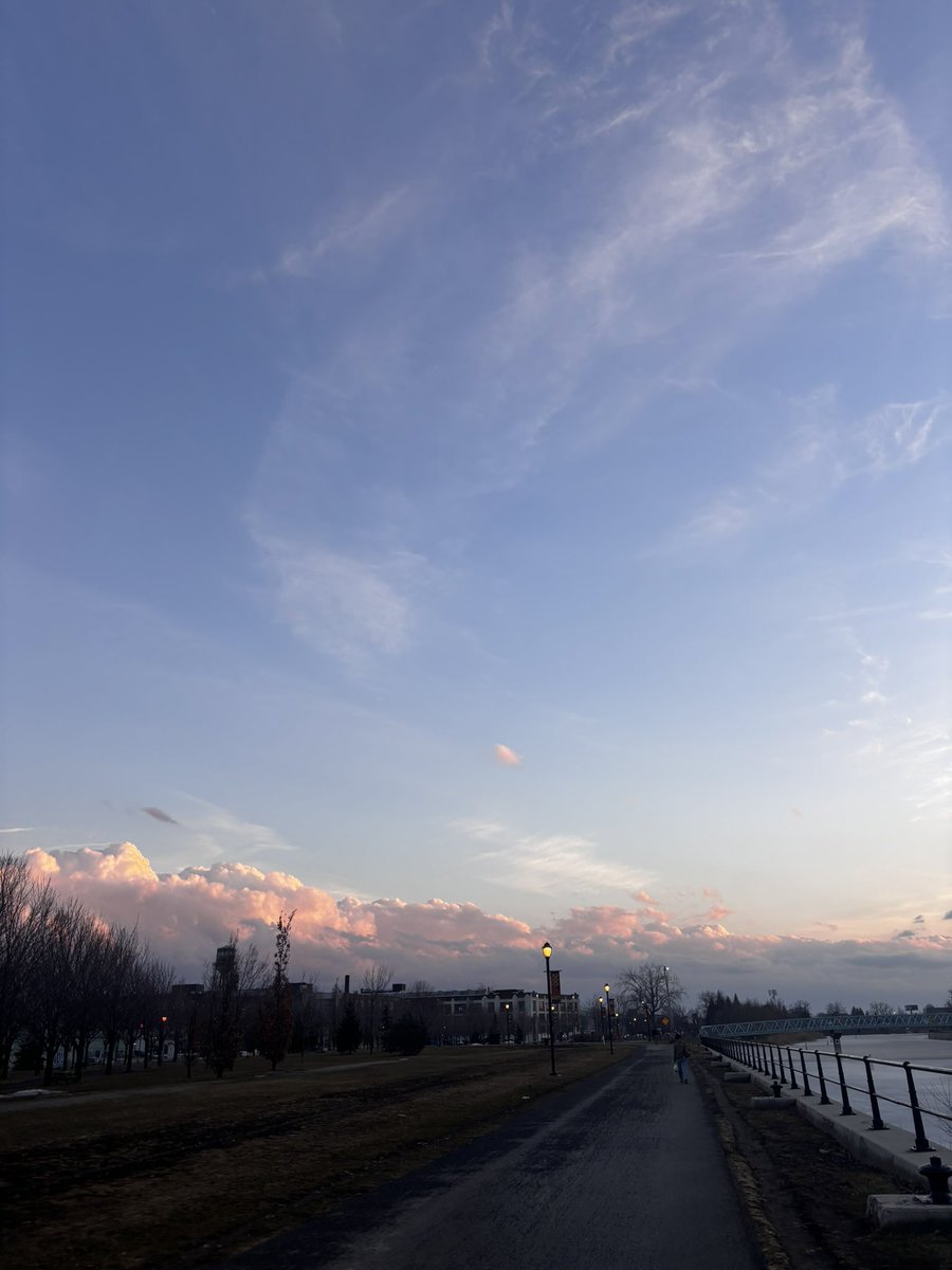 Sjögren tweet media