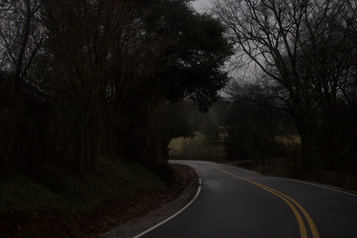 dreamland tweet media