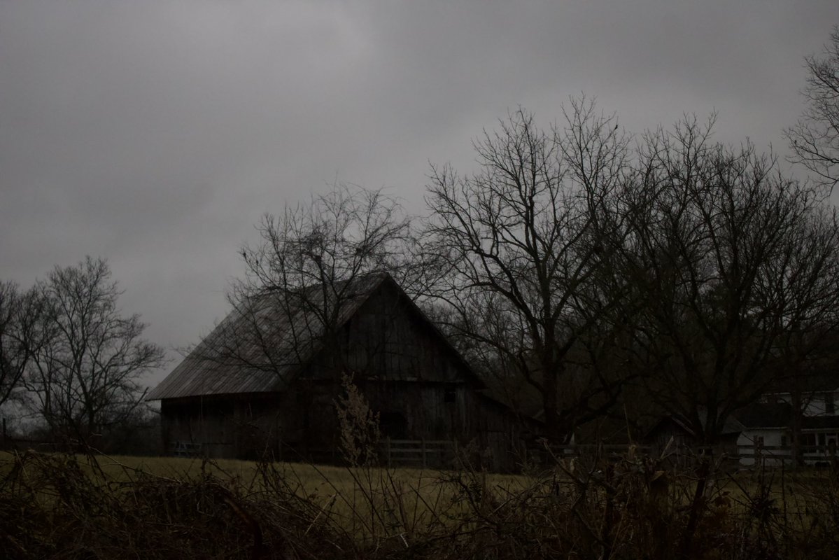 dreamland tweet media