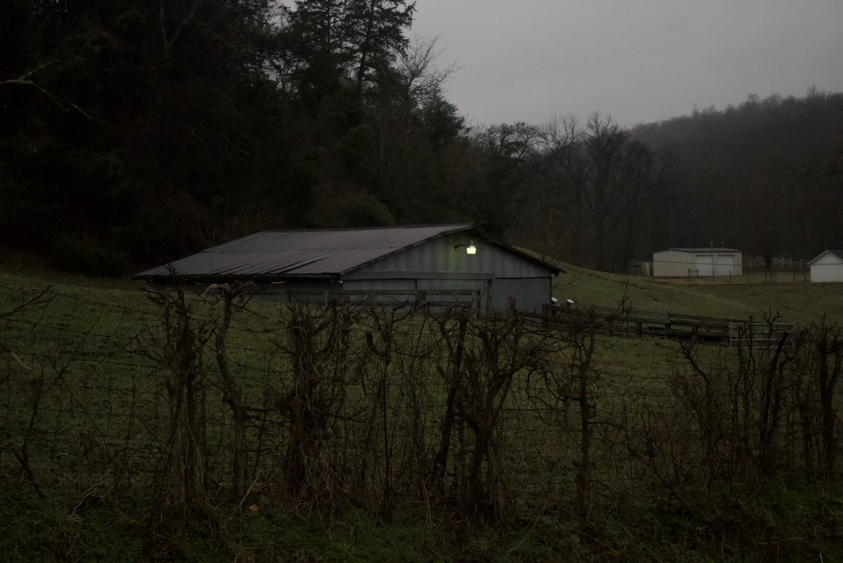 dreamland tweet media