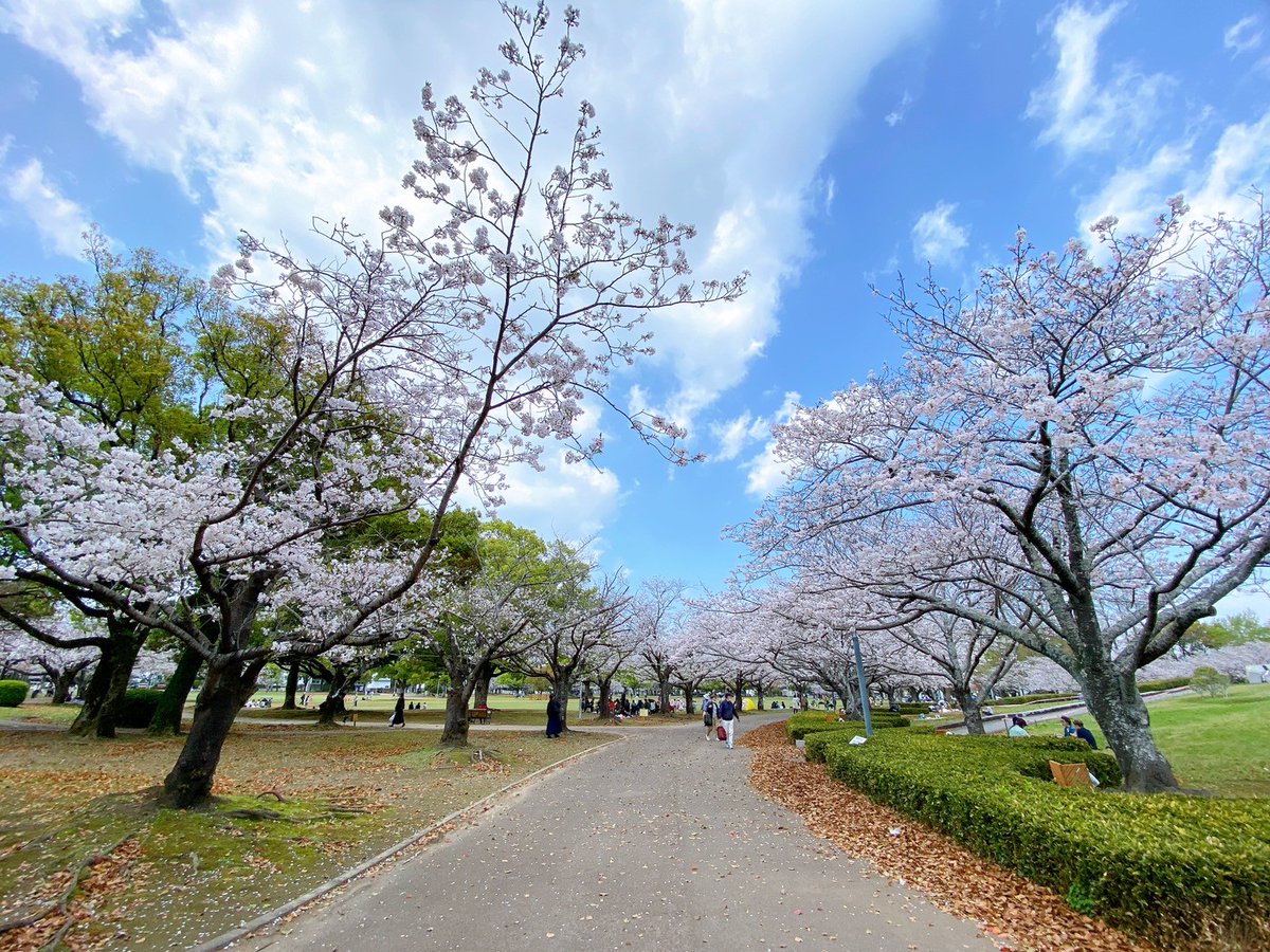 虎玉大介 tweet media