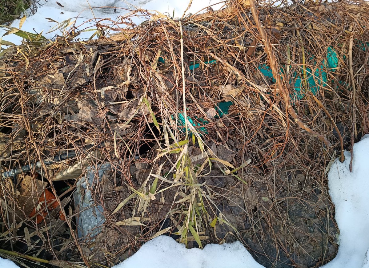 北国DIY@古民家フルリノベ🏚️🛠️ tweet media