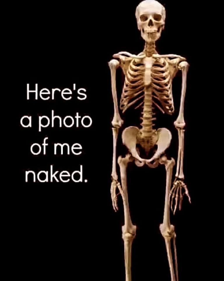 don_bourque's tweet photo. @darkmistress__ https://t.co/36JCmq1nrN