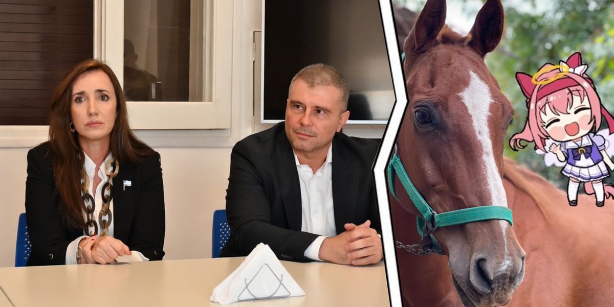 Mia 🍋 tweet media