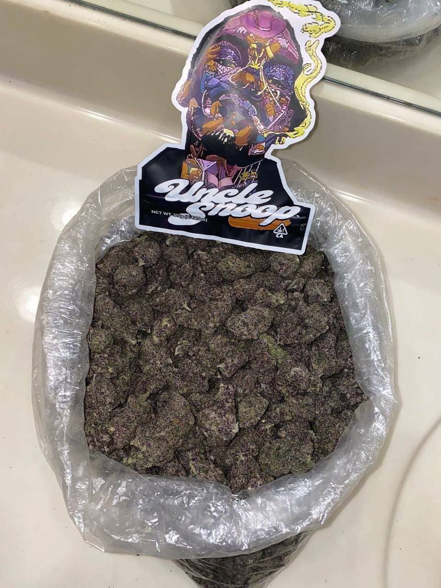 sincity seeds tweet media