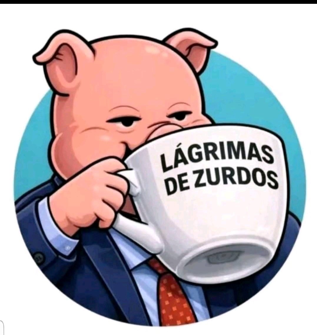 Carmen M. Carhua A. tweet media