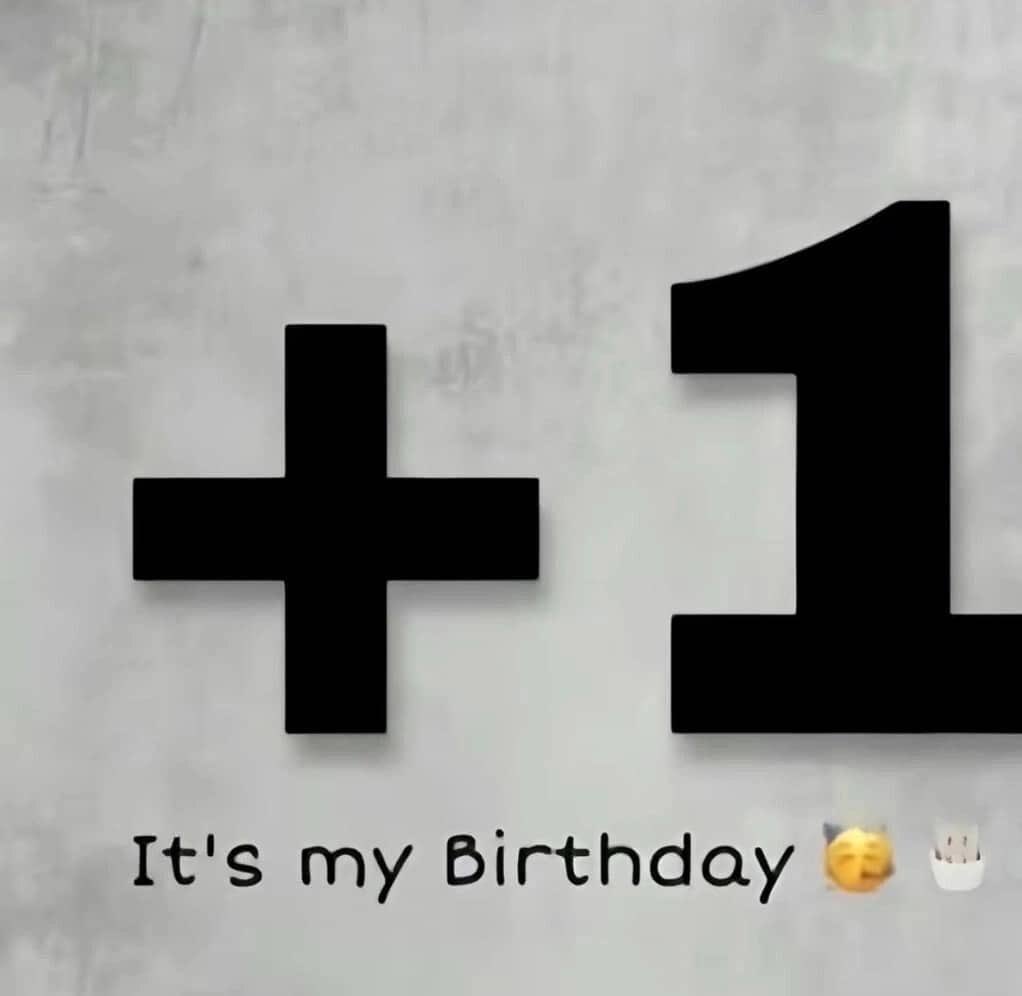 kay🌴⛷ tweet media