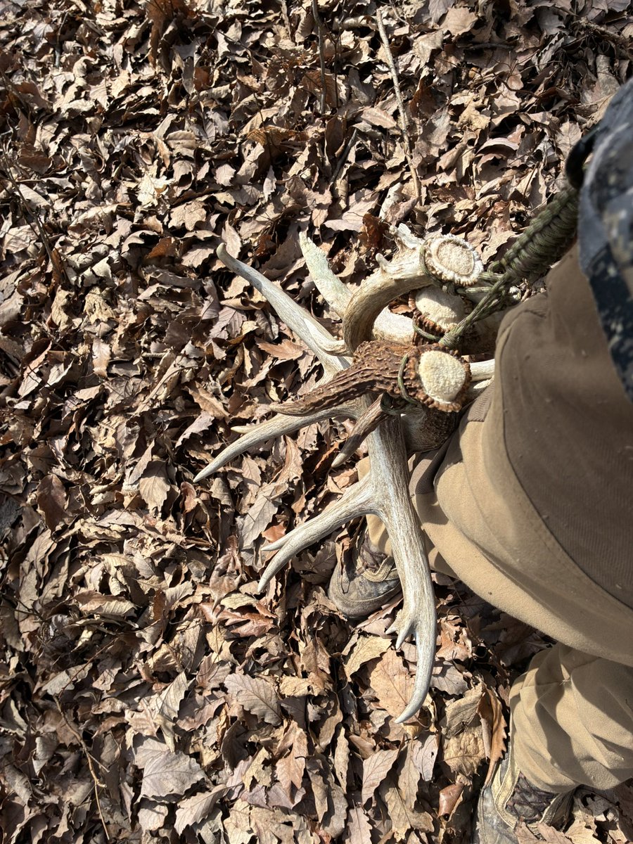 Dwayne Mathews tweet media