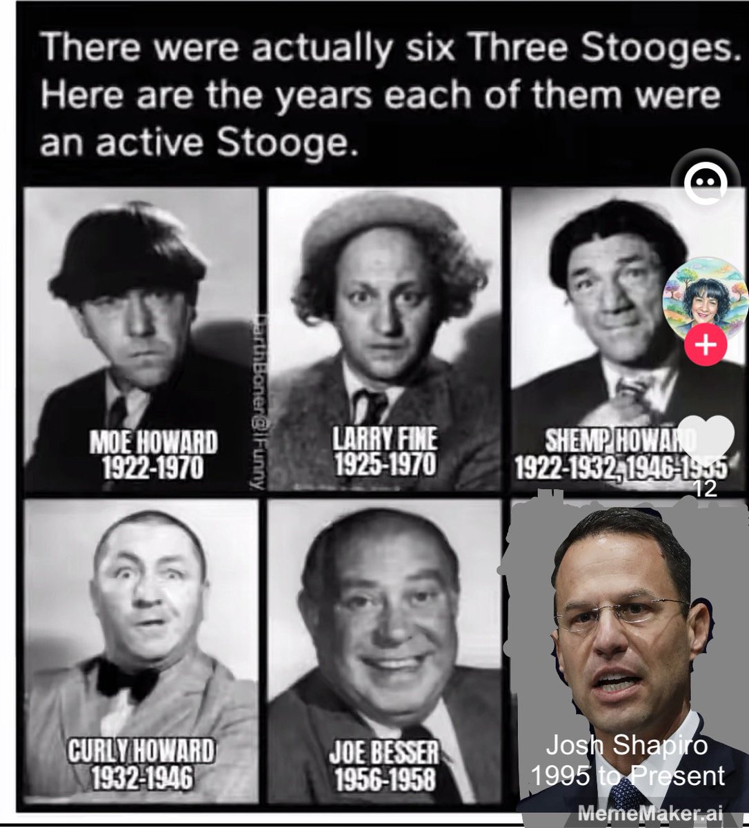 IrishRover tweet media