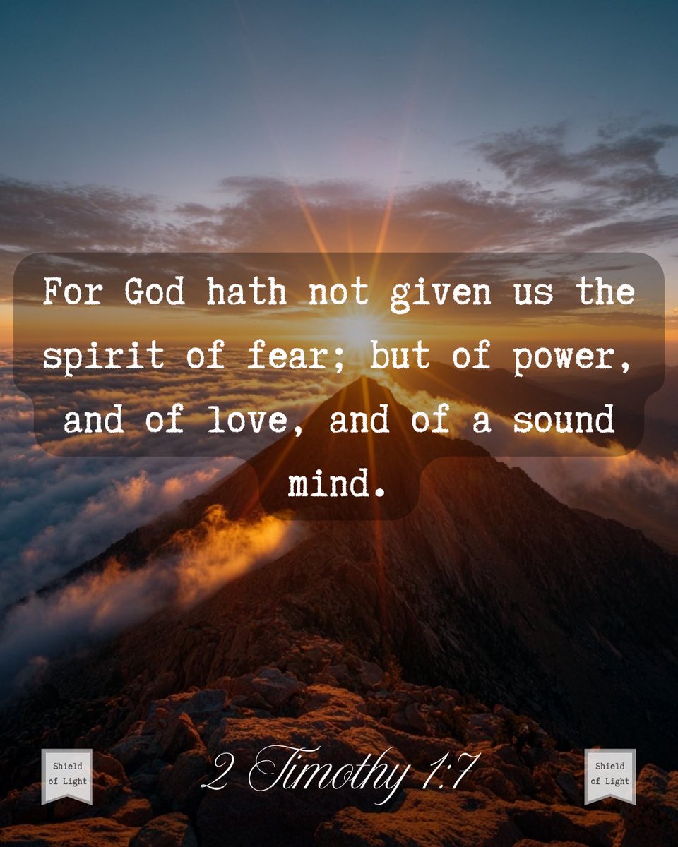 The Shield of Light tweet media
