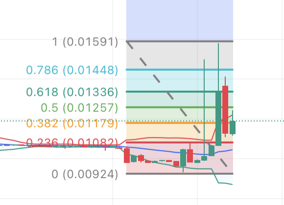Duarte Rodrigues tweet media