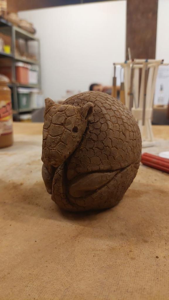 La Reina del Chaco tweet media