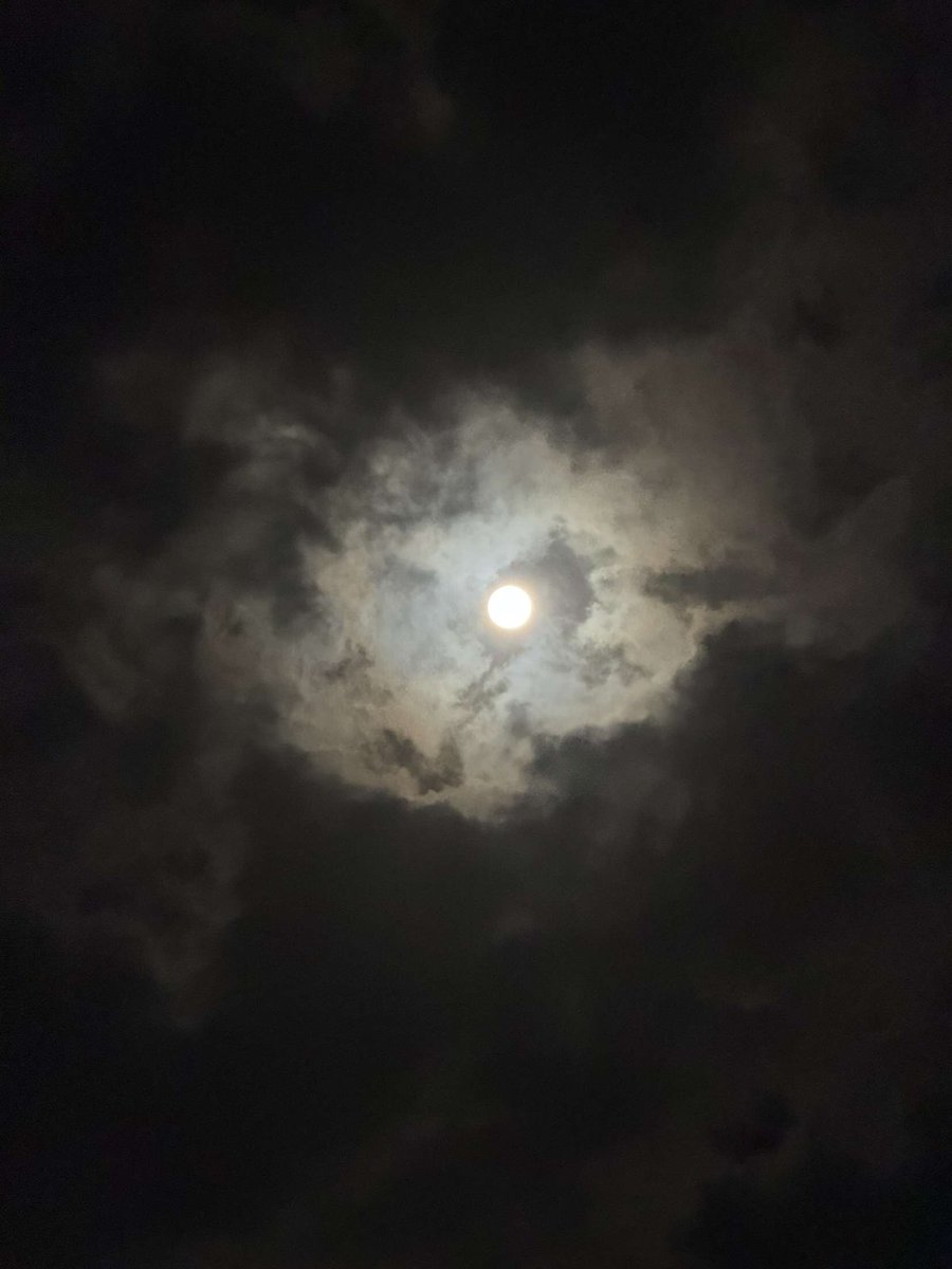 3_mp9's tweet photo. مامن ظلمةٍ إلا وتنتظر لمستك لتنجلي،ولا من دربٍ إلا ويترقّب نور رحمتك ليهتدي،ولا من قلبٍ إلا ويشتاق إلى سكينةٍ تفيض من لطفك،فاللهمّ أشرق علينا من نورك إشراقةً لا يخبو أثرها،وأنر لنا خفايا الطريق، وأزل عنّا وحشة التيه، واجعل في قلوبنا نورًا يُهدينا إليك، ويقرّبنا منك. https://t.co/TiqyotBmyF