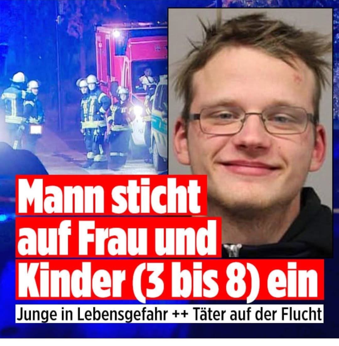 MacPaddy tweet media