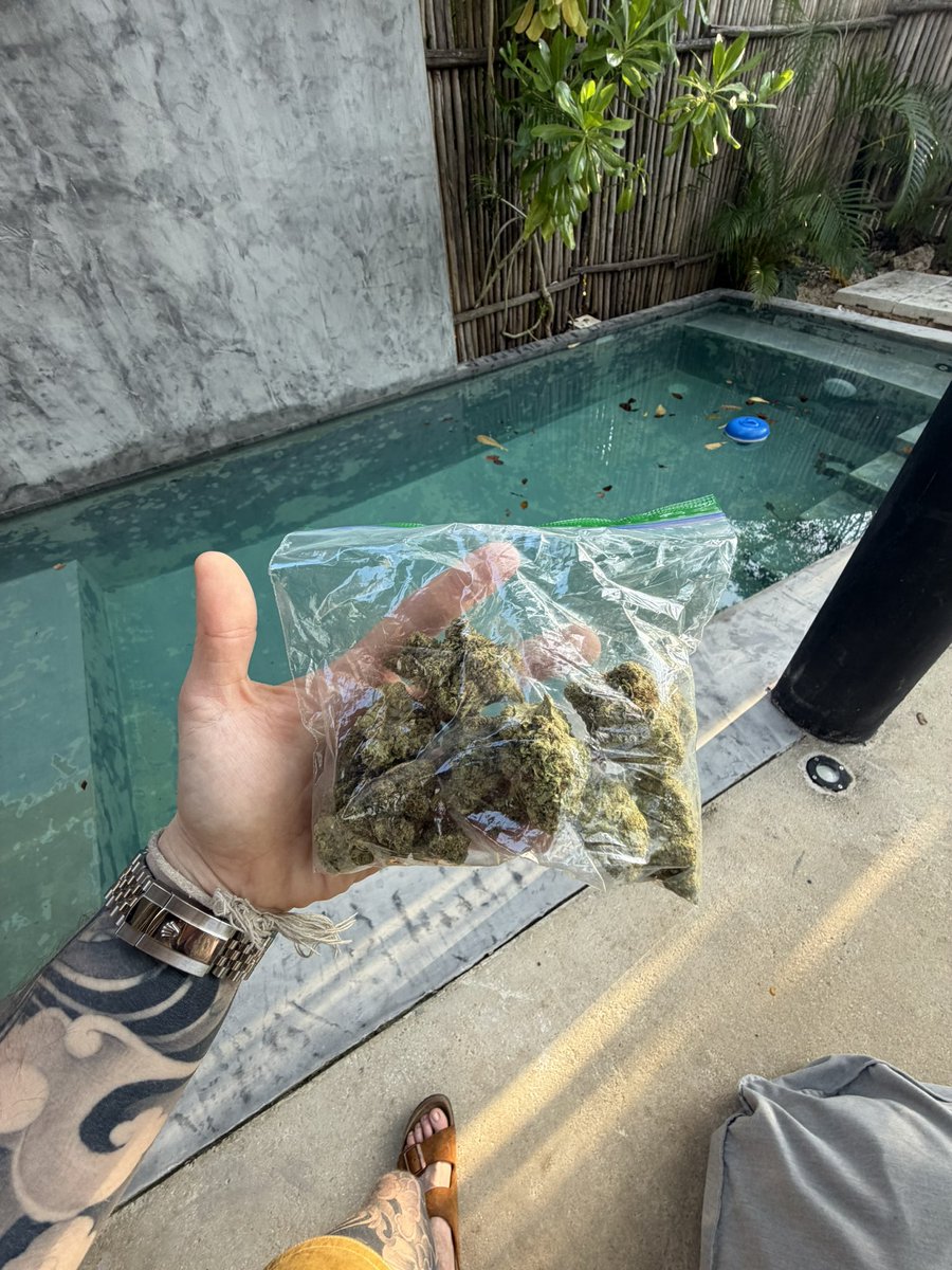 kt magee 🇬🇧 tweet media