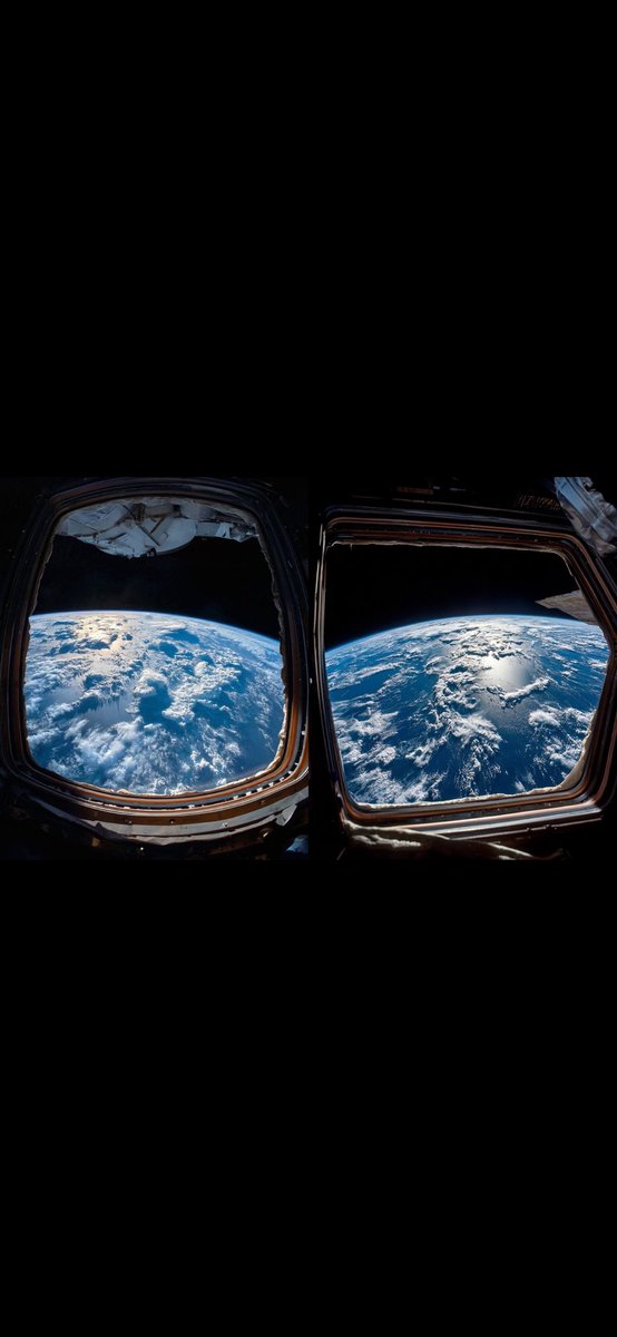 TruthBTold tweet media