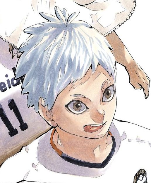 Acervo Hoshiumi Korai tweet media