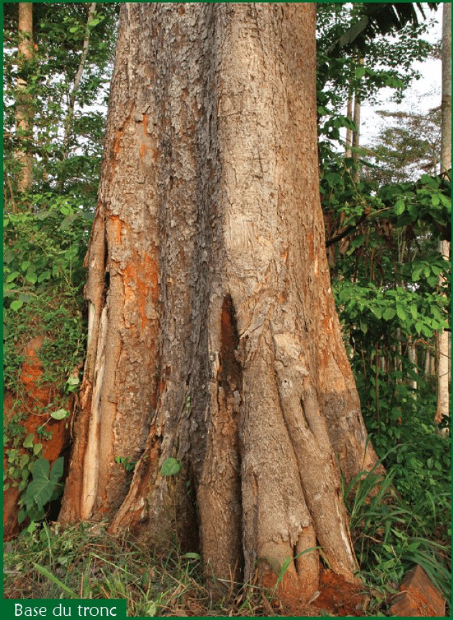 Designer 🎒 tweet media