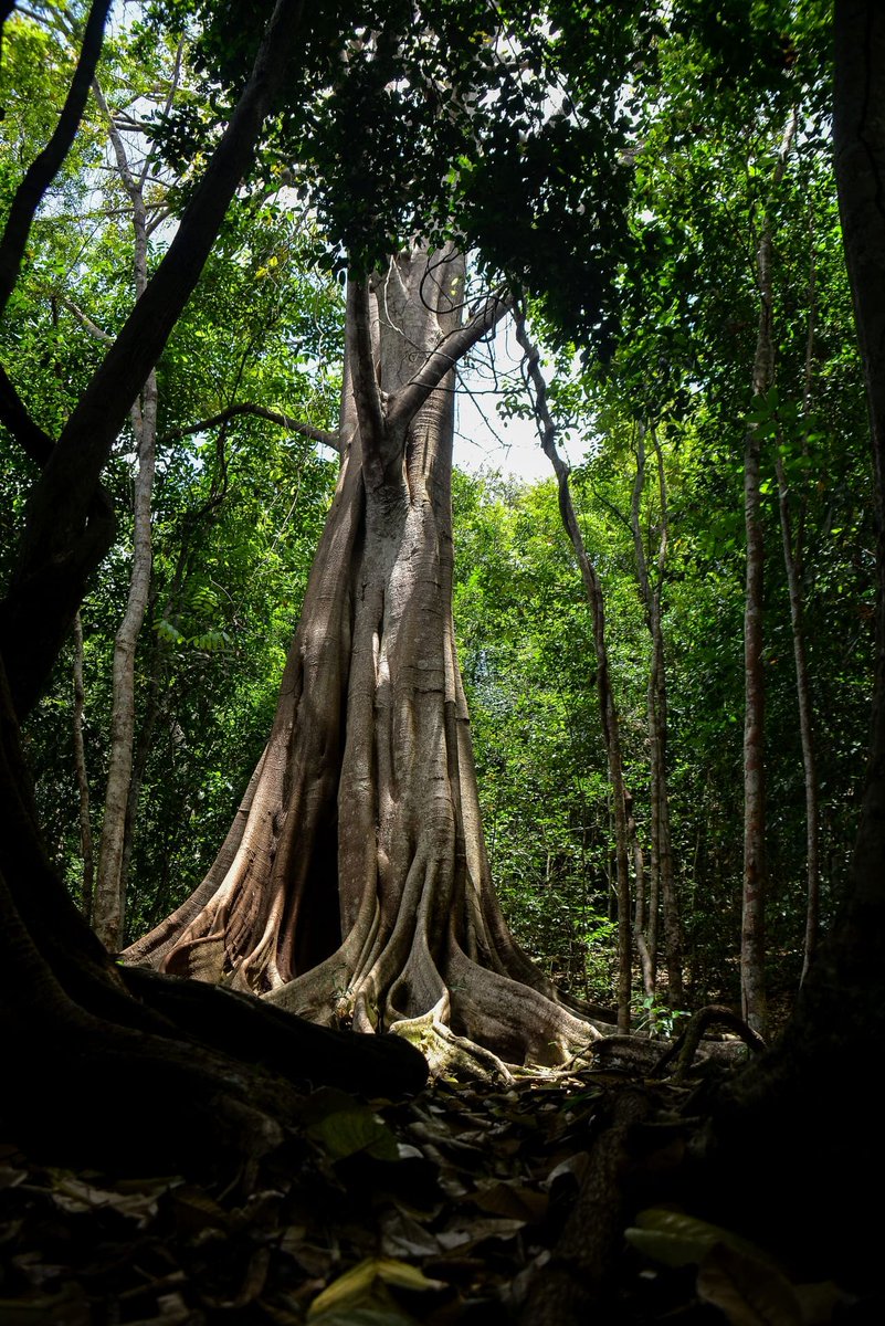 Designer 🎒 tweet media