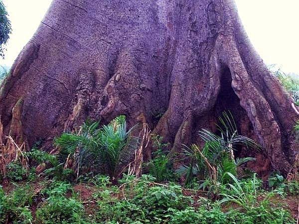 Designer 🎒 tweet media