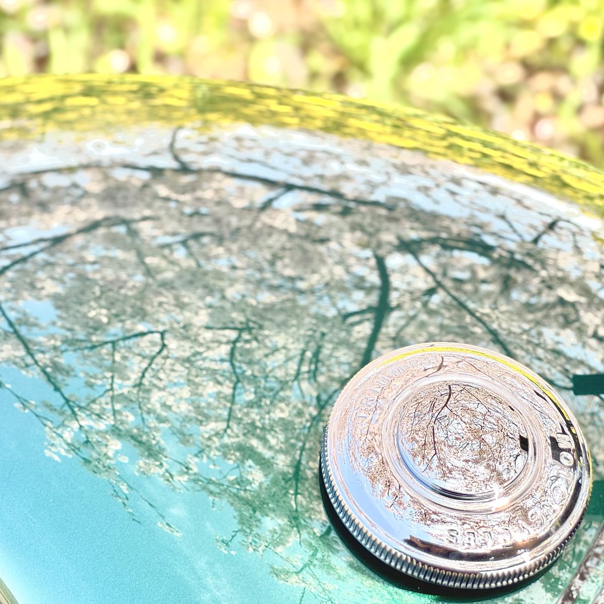 ぺぺよ🍙タグ巡回 tweet media