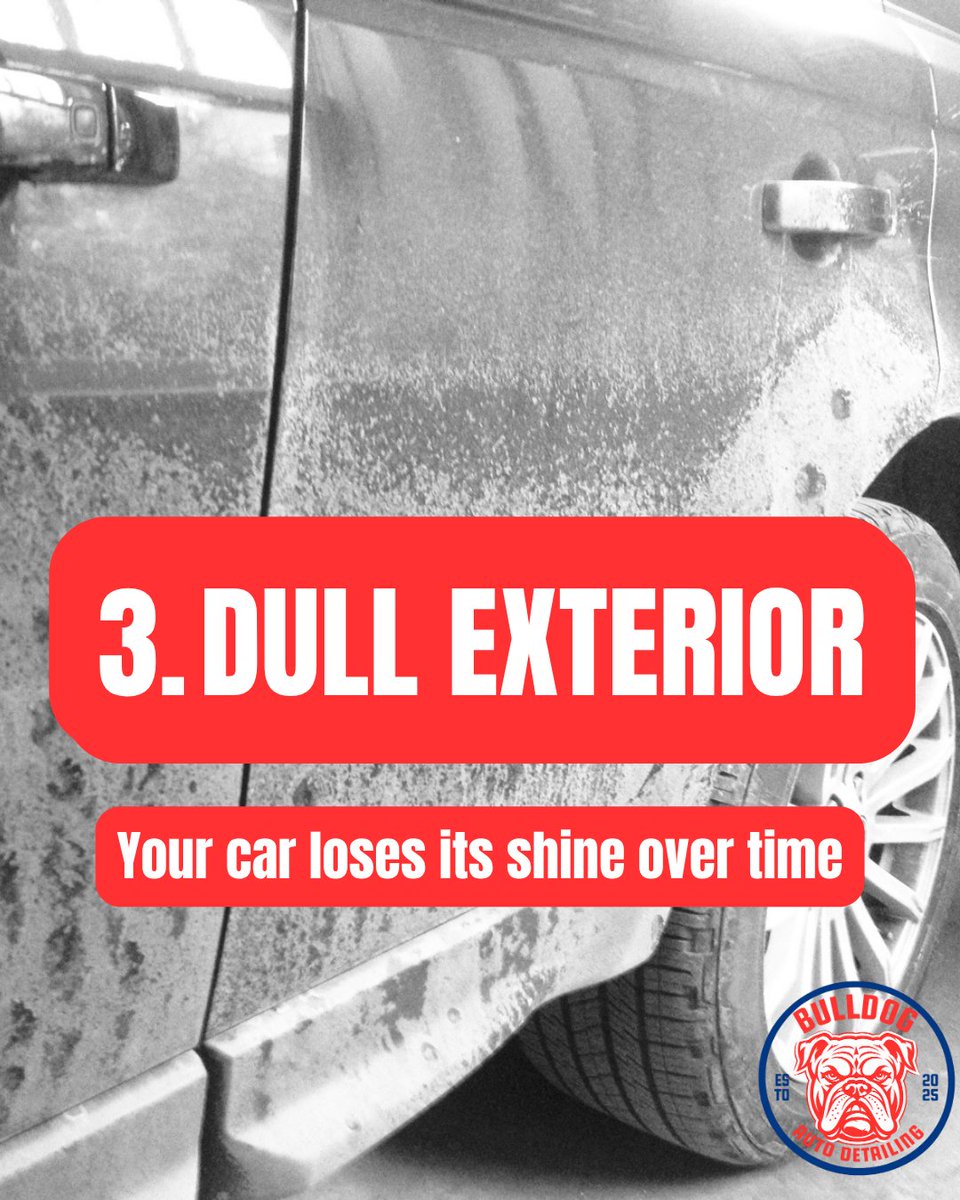 Bulldog Auto Detailing | MA tweet media