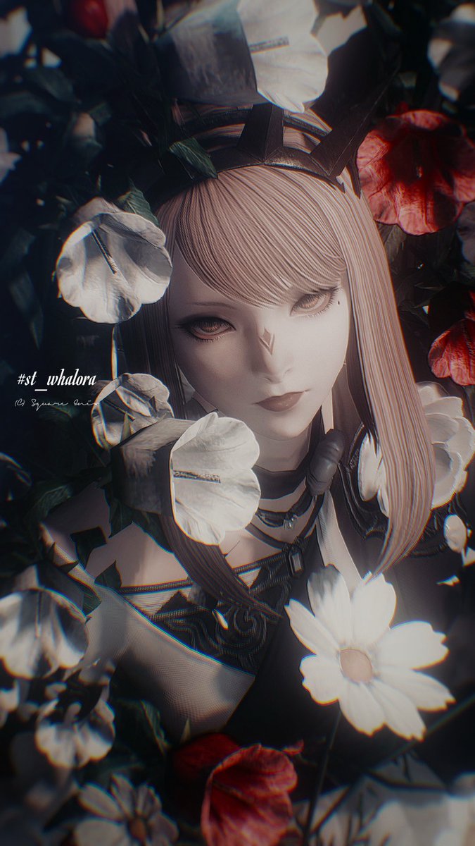 𝐦𝐞𝐫𝐫𝐲 tweet media