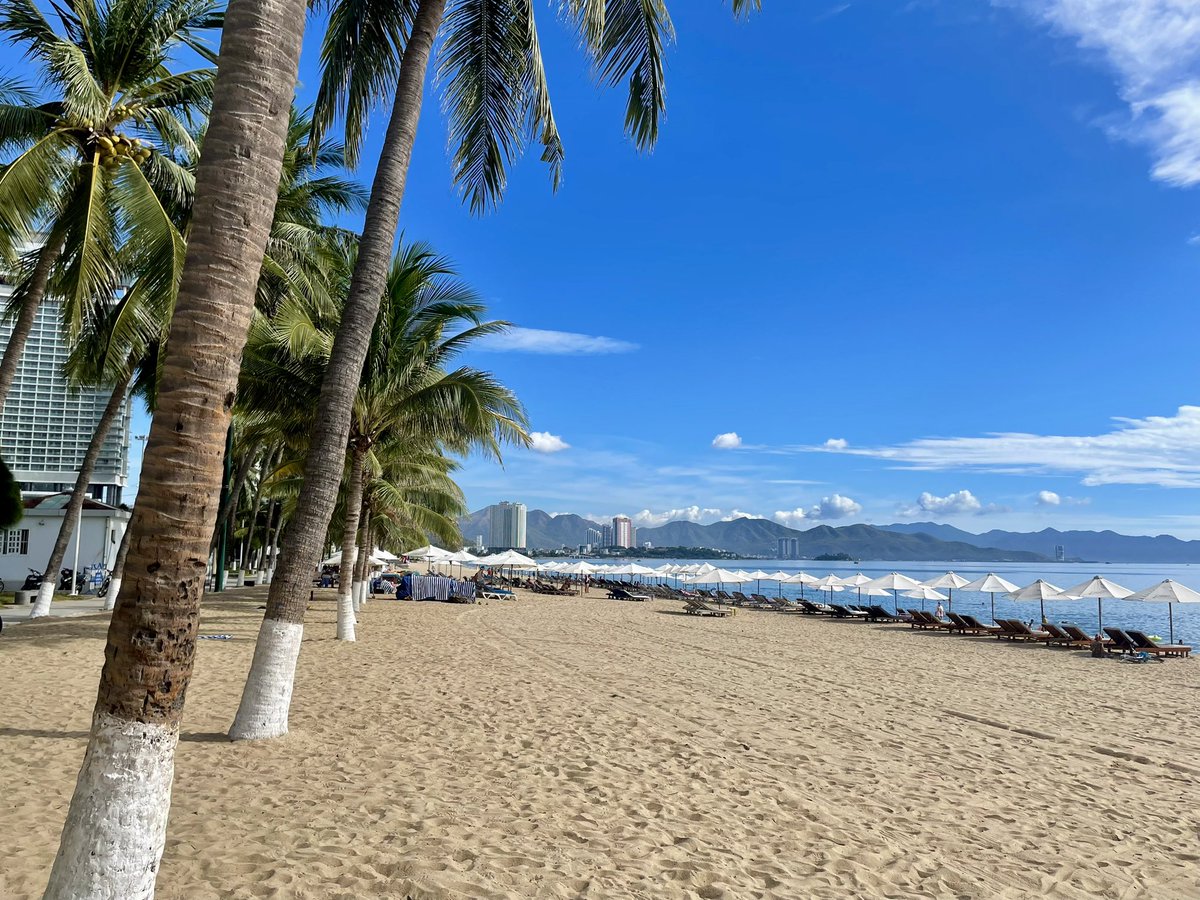 삐앙키 tweet media