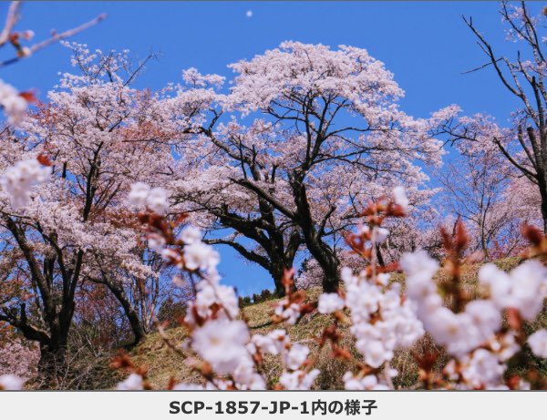 SCP財団 名言/迷言 bot tweet media