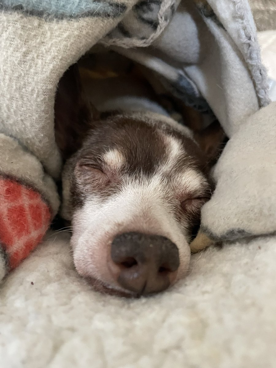 Chris T. Sample tweet media