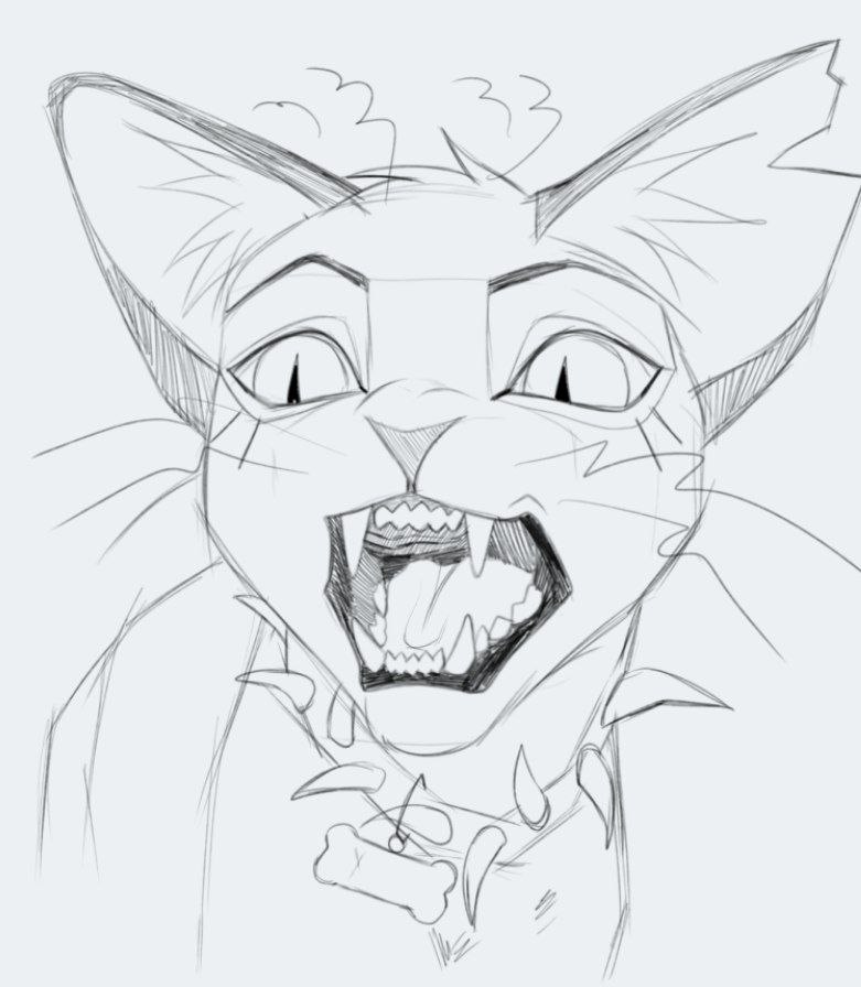 ⊹ ࣪ ˖꩜Mewiewkish꩜⊹ ࣪ ˖ tweet media