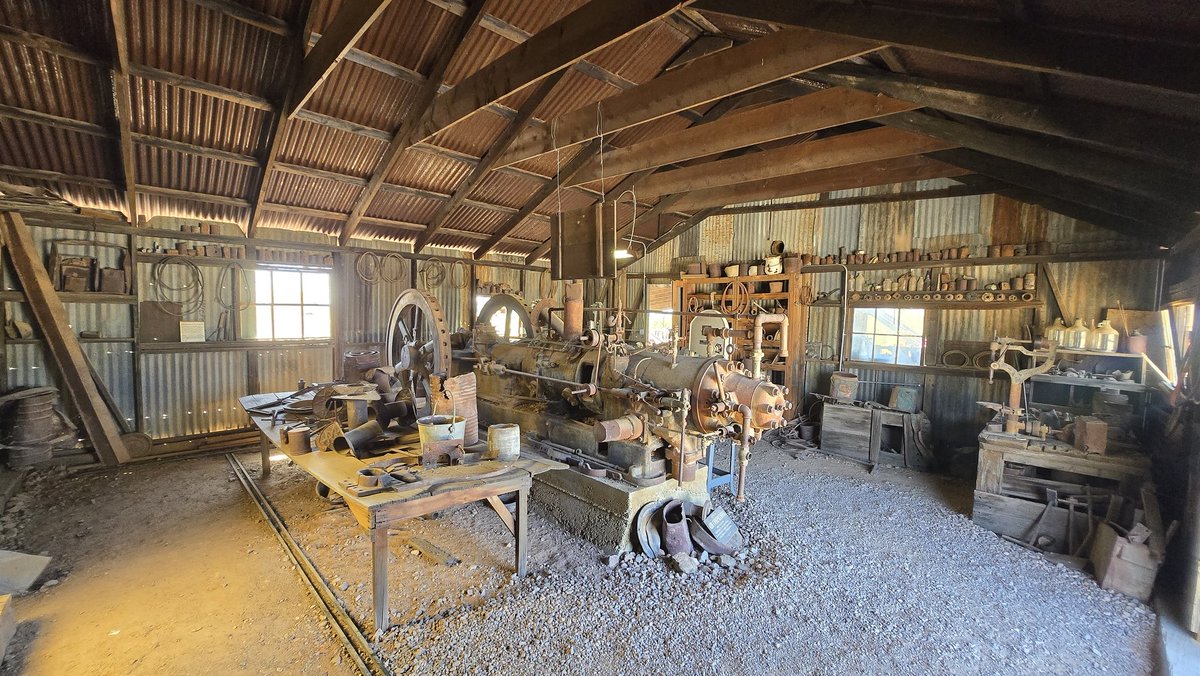 Daisy Daisy tweet media