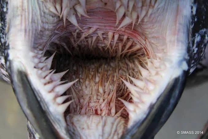 meimei12300📖🔆 tweet media